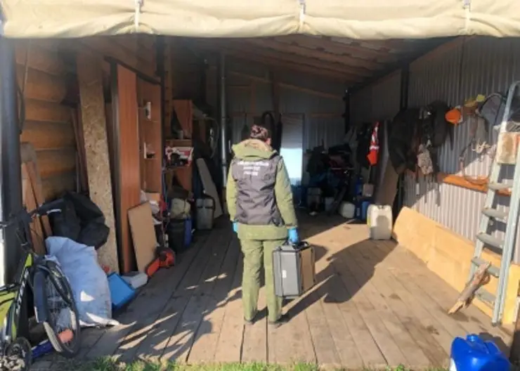 В Лесосибирске 10-летний мальчик застрелил одноклассника