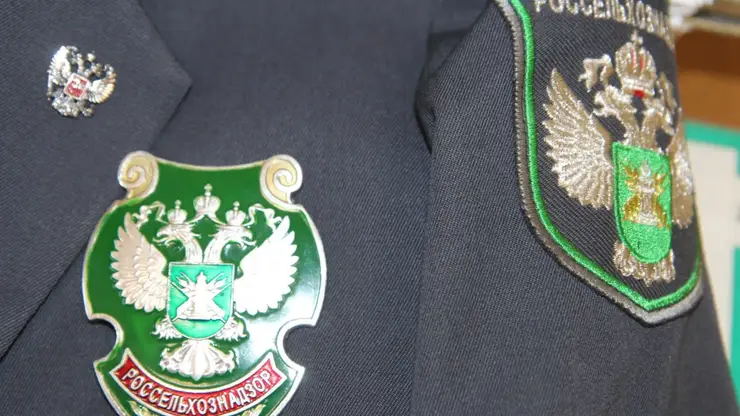 В пельменях из Железногорска нашли ДНК свиньи и опасный «мясной клей»