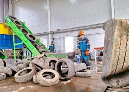 В Красноярском крае соберут старые шины для переработки. Где и когда?