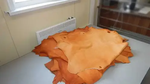 Незаконную партию овечьих шкур задержали на таможне в Алтае