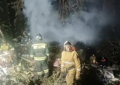 Два человека погибли при крушении самолета Ан-2 в Красноярском крае