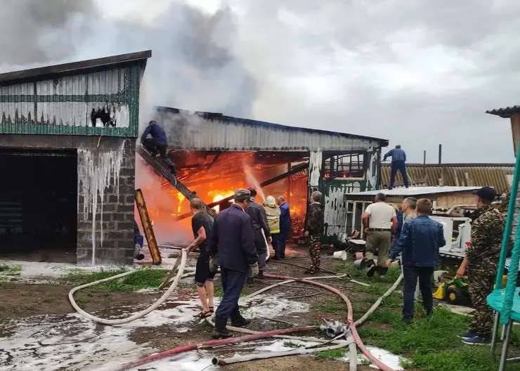 Спасатели локализовали пожар на площади около 250 квадратных метров в Назаровском районе