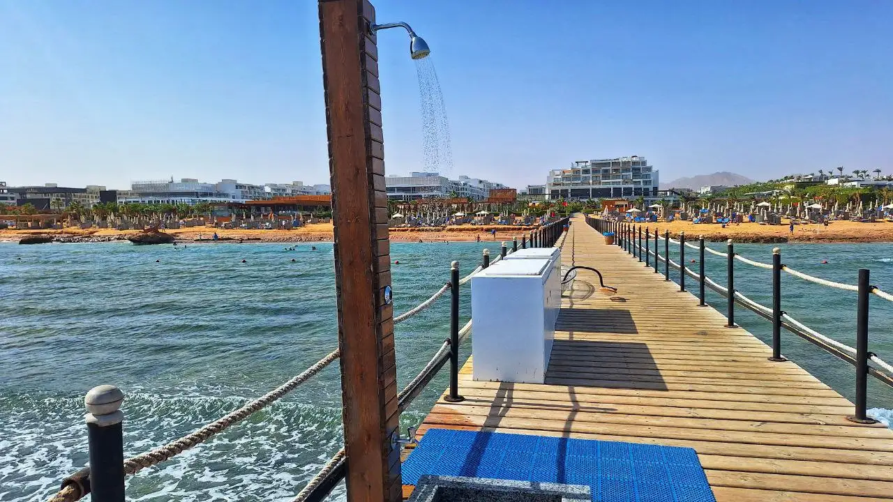 Фото: sibnovosti.ru