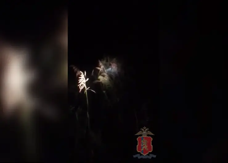 Пенсионерку и мужчину спасли в лесу полицейские в Красноярском крае