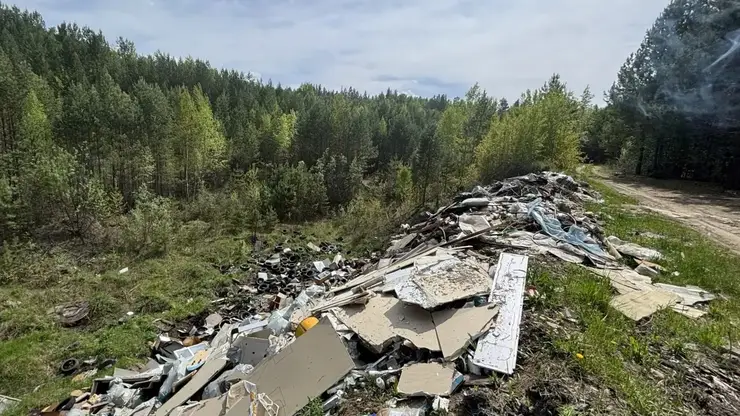 18 свалок уберут в семи территориях Красноярского края до конца года
