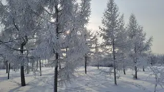 До -37 похолодает в Красноярске 4 февраля