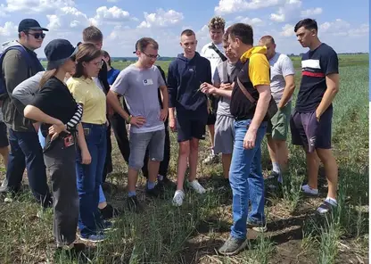 В Кузбассе искусственный интеллект внедрят в сельское хозяйство