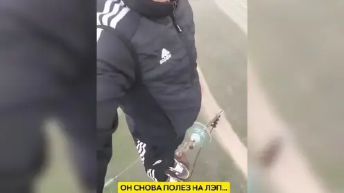 Дальневосточный «человек-паук» забрался на опору ЛЭП, чтобы перекусить бананом