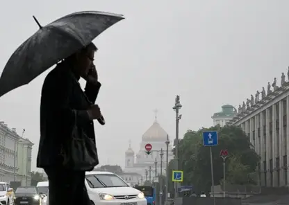 Синоптики пообещали красноярцам ливни и до 24 градусов тепла 9 июля
