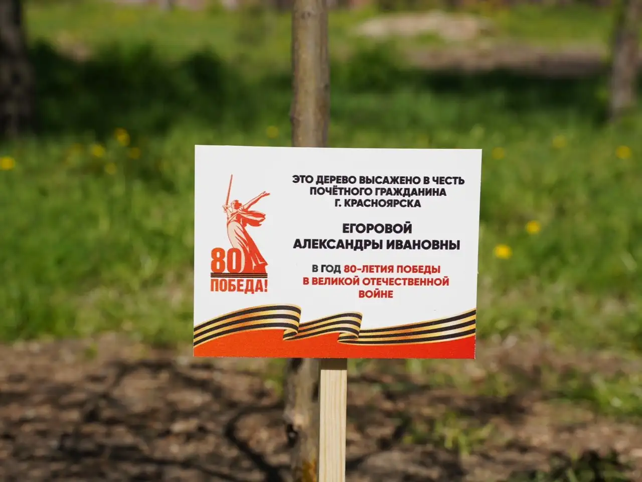 Фото: пресс-служба Красноярского городского Совета депутатов