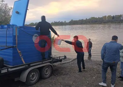 В Красноярском крае в реку выпустили почти 200 тысяч мальков осетра
