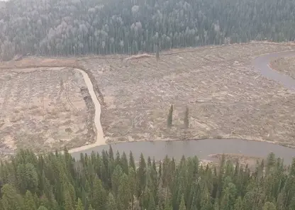 Реки юга Красноярского края страдают от деятельности золотодобытчиков: ущерб исчисляется десятками миллионов