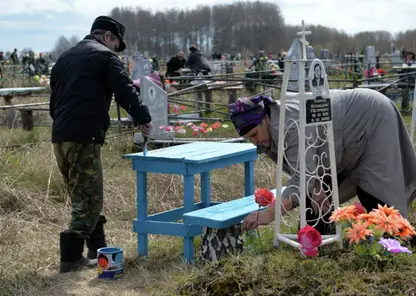 В Красноярске продолжится благоустройство нового Шинного кладбища