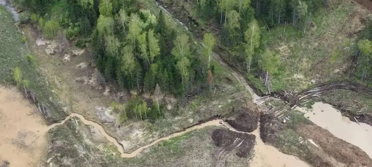 Фото: пресс-служба прокуратуры Красноярского края
