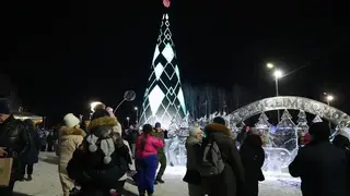 Главная городская елка открылась в Татышев-парке