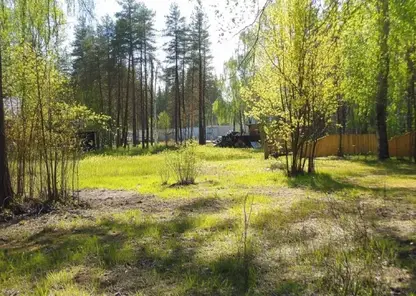 В Канске приставы заставили должника убрать с участка источник экологической катастрофы