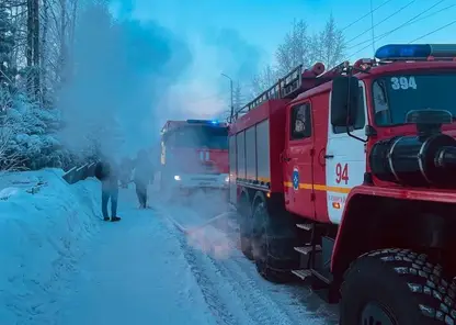 В Красноярском крае за сутки потушили 15 пожаров