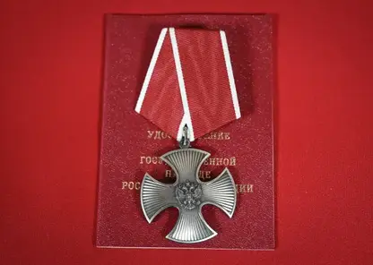 Орден Мужества вручили бойцу из Красноярского края