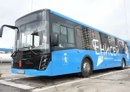 Новые газомоторные автобусы появились на двух маршрутах Красноярска