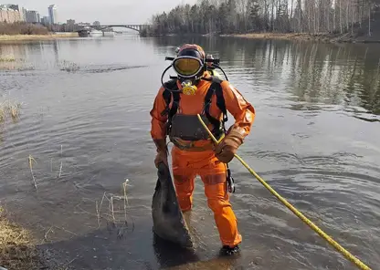 «Краском» рассказал, что коммунальщикам удалось «выудить» в Матвеевской протоке Енисея