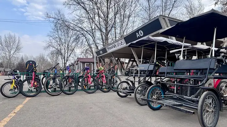 Для студентов и участников СВО организовали бесплатный прокат на острове Татышев