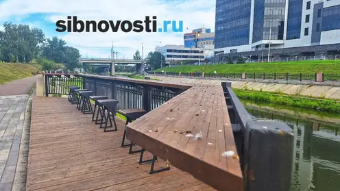 Голубиная атака: в Красноярске набережная Качи страдает от нашествия пернатых