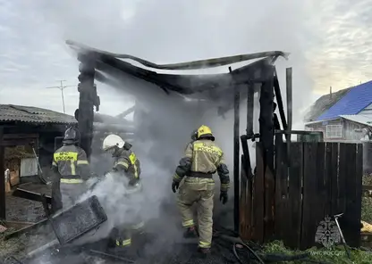 Пожарные за сутки потушили 11 возгораний в Красноярском крае