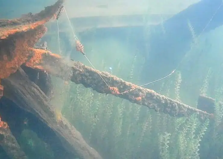 Жительница Новосибирска голышом искупалась в фонтане  