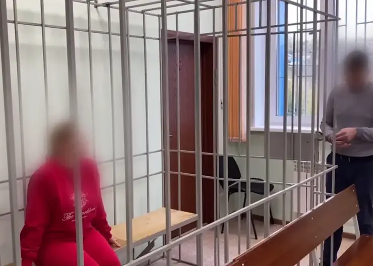 Красноярской журналистке вынесли приговор за публичное распространение фейков о ВС России