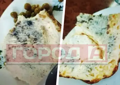 В Красноярском крае школе вынесли предостережение из-за «голубого» омлета