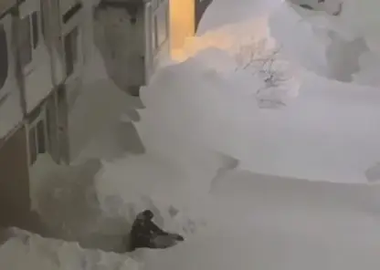 Камчатка парализована мощным циклоном: снег засыпал регион по второй этаж