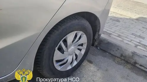 В Новосибирской области мужчину осудят за слежку через GPS-метку за бывшей девушкой