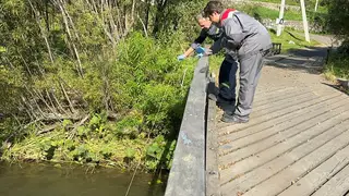 Экологи взяли пробы воды в реках Красноярского края: что показали исследования