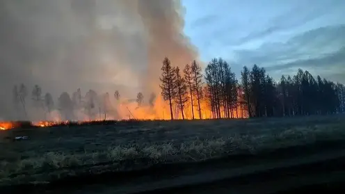 Режим ЧС ввели в Туве из-за лесных пожаров