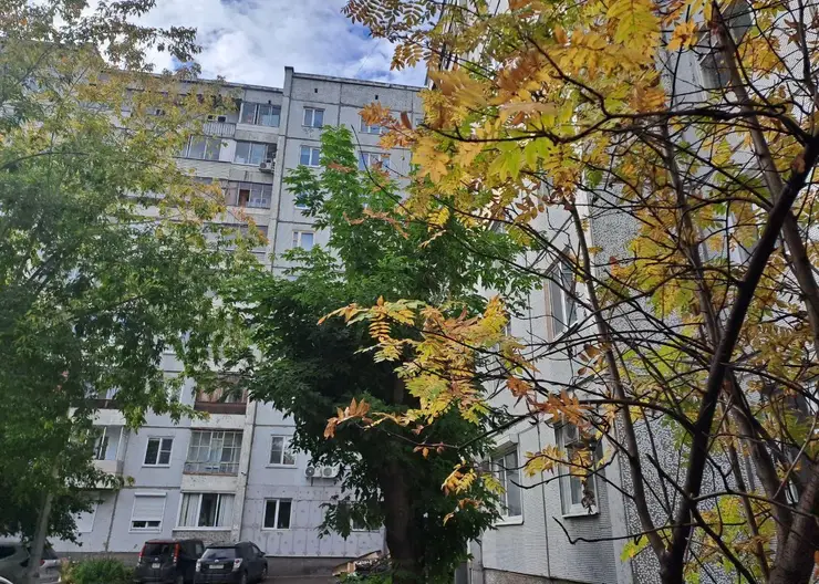 14 октября красноярцев ждет похолодание до -8