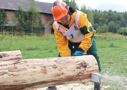 В Красноярском крае пройдет региональный этап конкурса на лучшего лесного пожарного