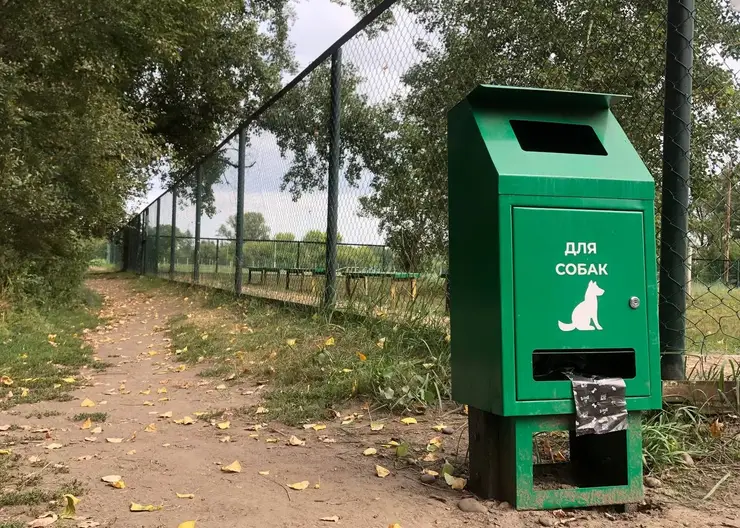 Три догбокса установили в красноярском Татышев-парке