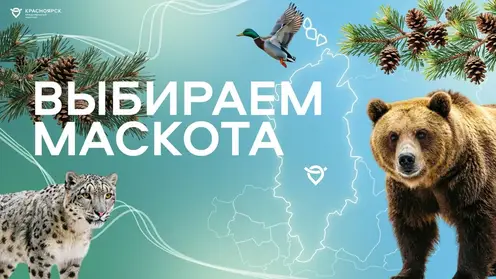 Красноярский аэропорт выбирает маскота: голосование уже открыто