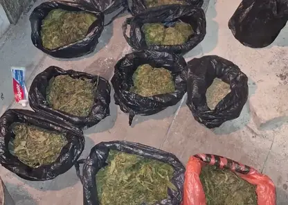 Более килограмма марихуаны изъяли у сельчанина в Красноярском края