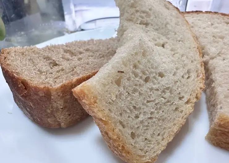 Школьникам подали в столовой зараженный хлеб с насекомыми на Камчатке