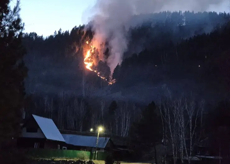 Житель Шушенского района заплатит 900 тысяч за тушение лесного пожара, возникшего из-за пала травы