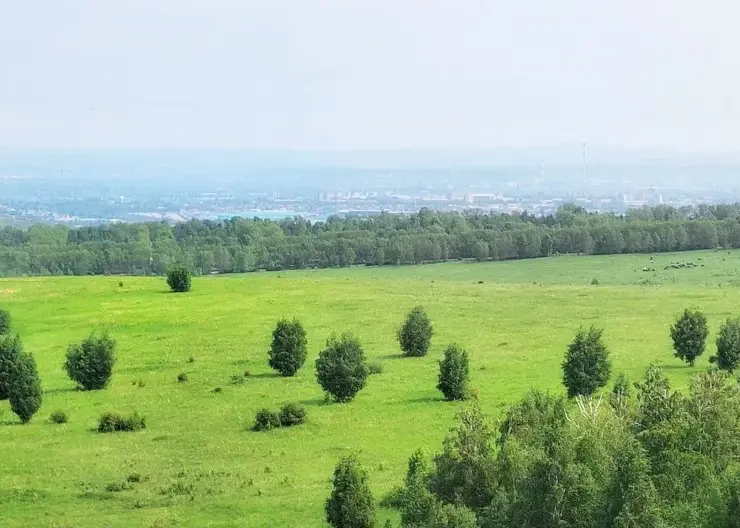 Волна жары накроет Красноярск в субботу