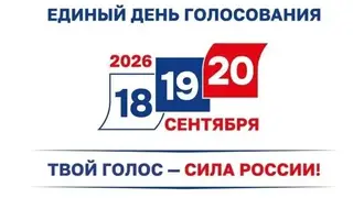 Как получить помощь волонтёра на избирательном участке