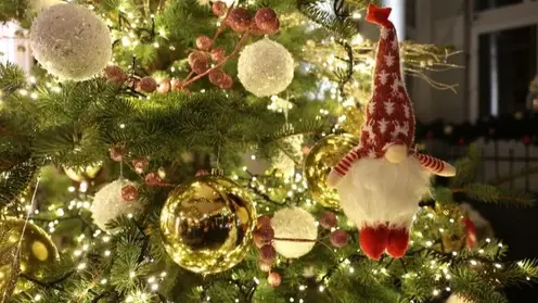 В Якутске ищут новое место для главной новогодней елки