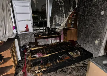 Двое мальчиков погибли при пожаре в поселке в Кузбассе