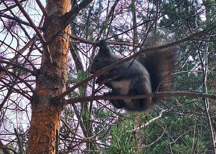 Тёплый финал октября: красноярцев ждёт приятный сюрприз в последний день месяца