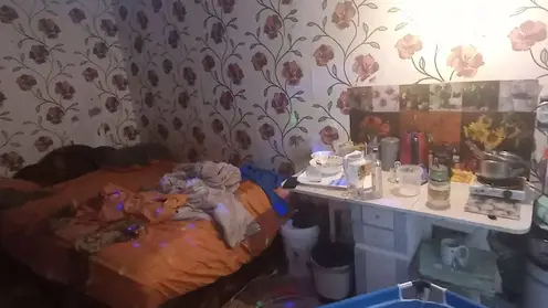 Искусанного клопами 11-месячного ребенка забрали у пьяной матери в Красноярском крае