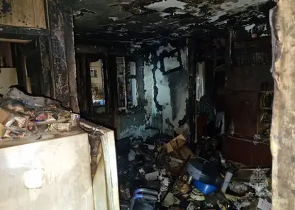 Пожар на Маяковского в Красноярске унес жизни двух человек