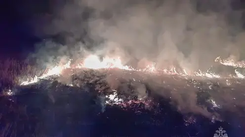 Первый в году крупный пожар сухой травы потушили в Забайкалье