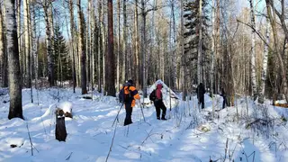 Отшельник объяснил, как семья Усольцевых могла выбраться из красноярской тайги